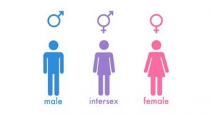 intersex